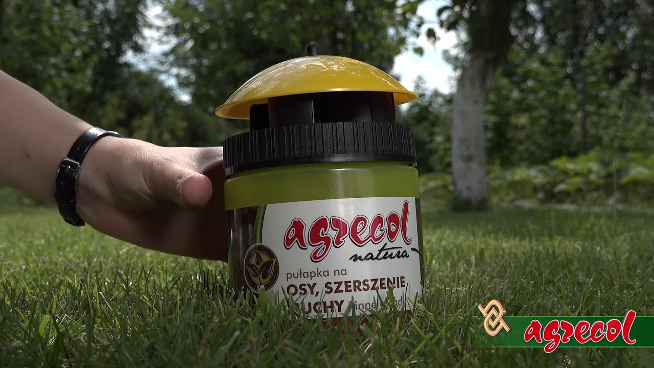 Pułapka na osy, szerszenie i muchy Agrecol Natura