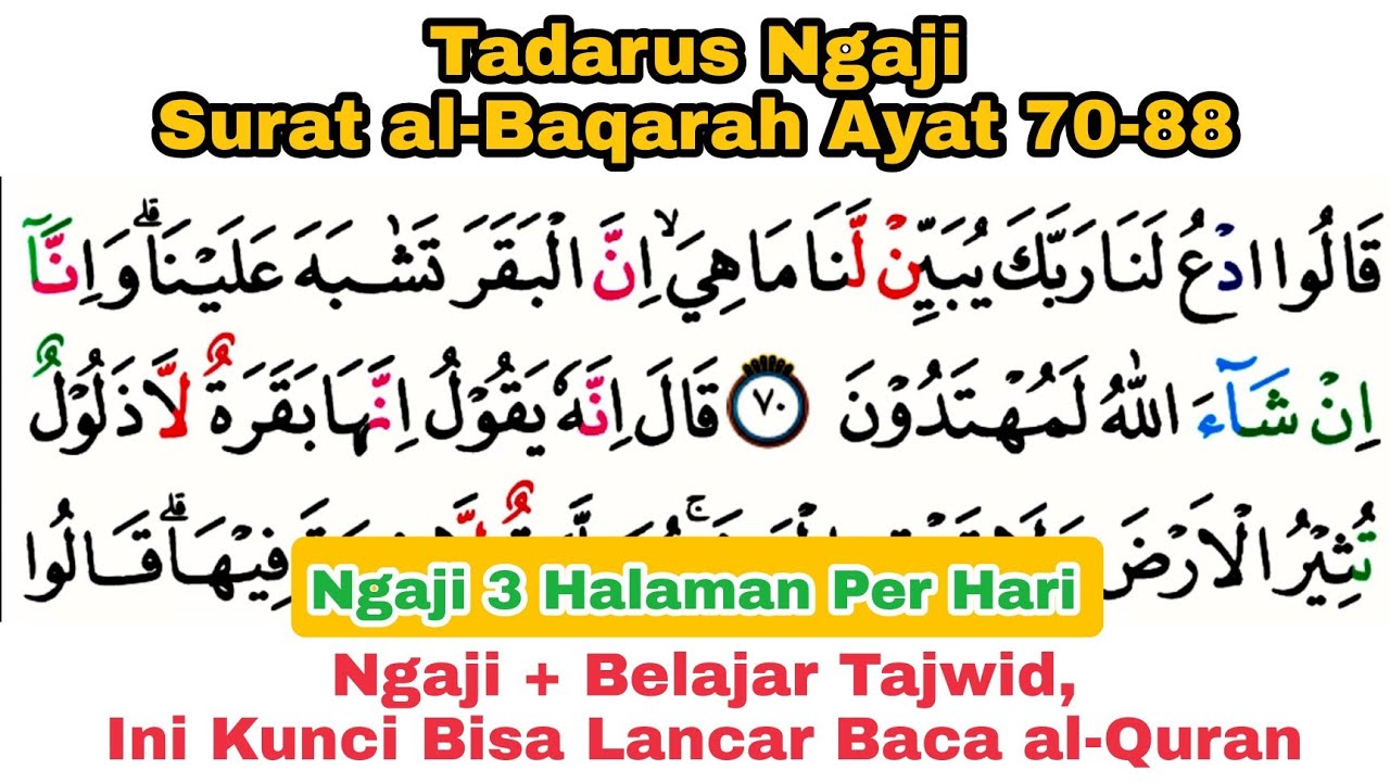 Tadarus Ngaji Surat al-Baqarah Ayat 70-88 Dengan Tartil + Bahas Tajwid + Buku PDF Gratis
