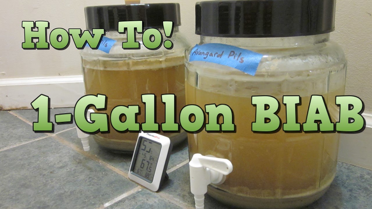 Brew 1 Gallon of Beer! - All-Grain BIAB