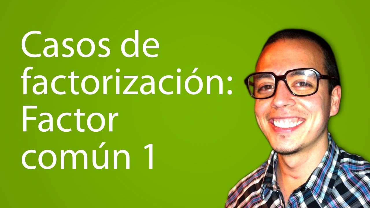 Casos de factorización: Factor común 1