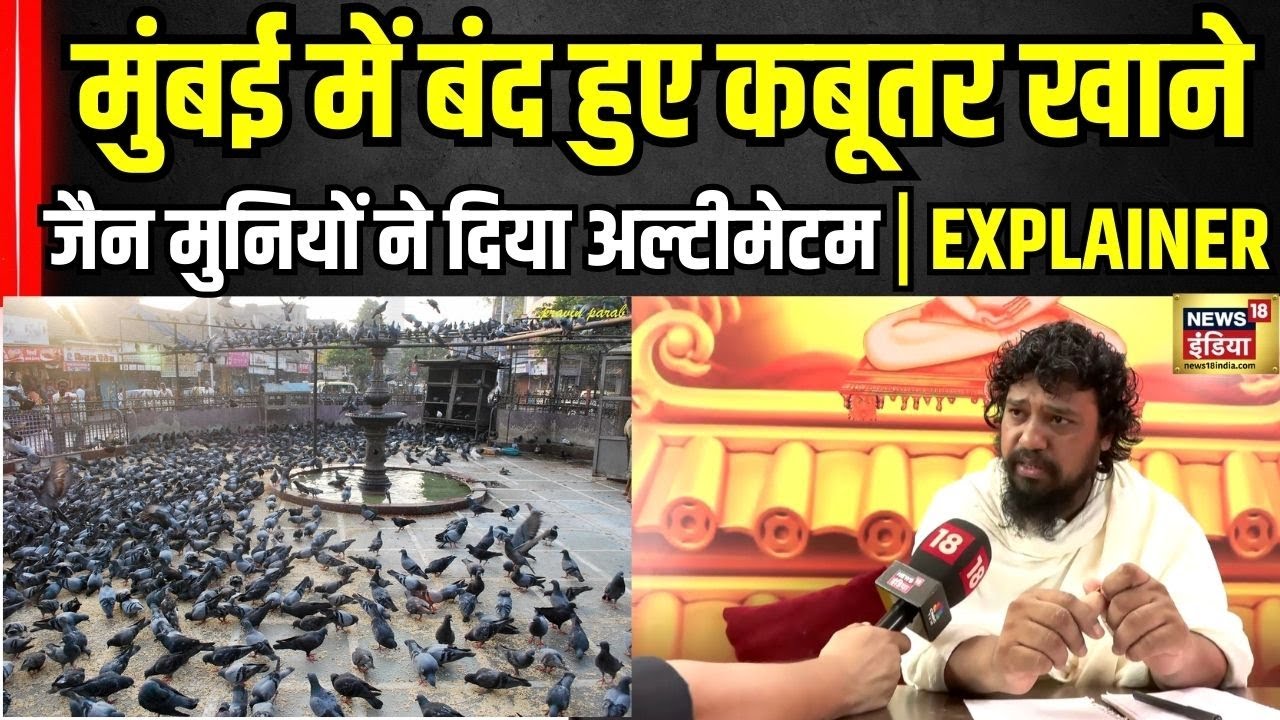 Mumbai में कबूतर खाने बंद होने पर बवाल| Marathi vs Jain | #kabutarkhana  #explainedinhindi | N18V