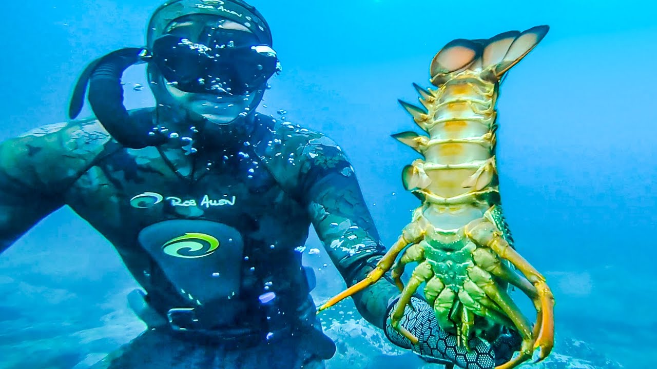 Bagged Out on Crayfish and Slipper Lobsters