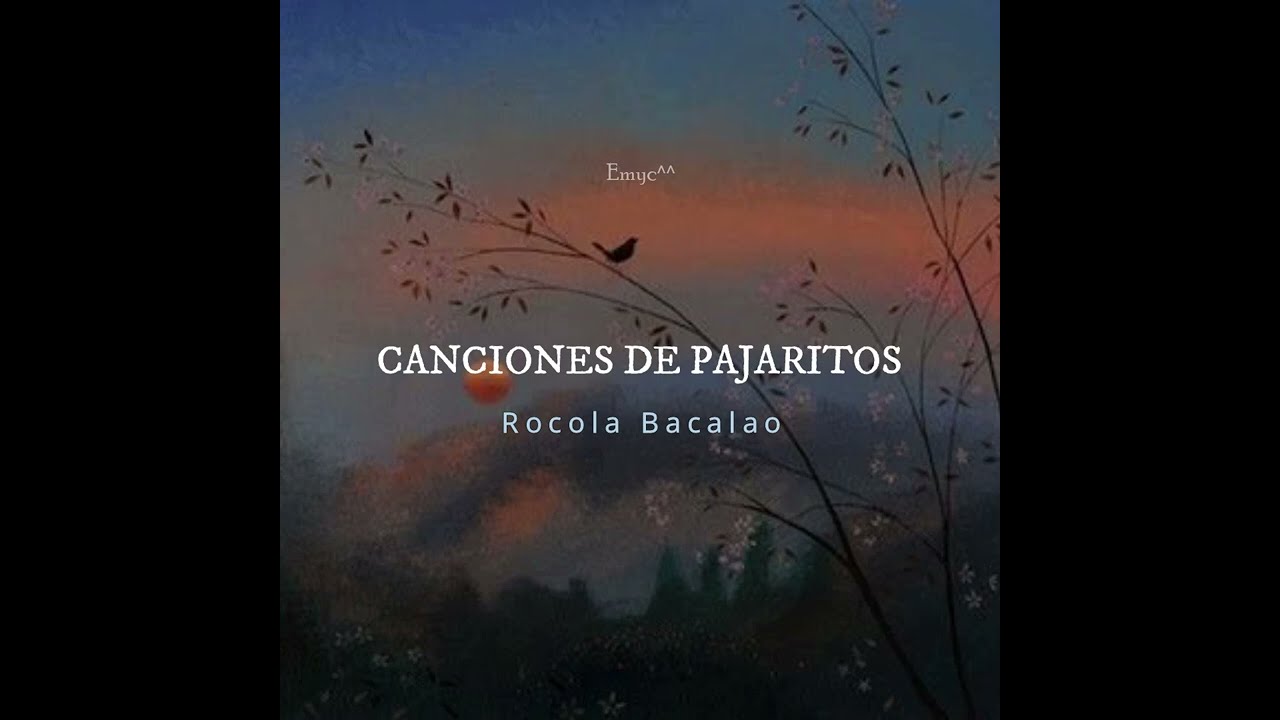 Canciones de pajaritos - Rocola Bacalao|Letra
