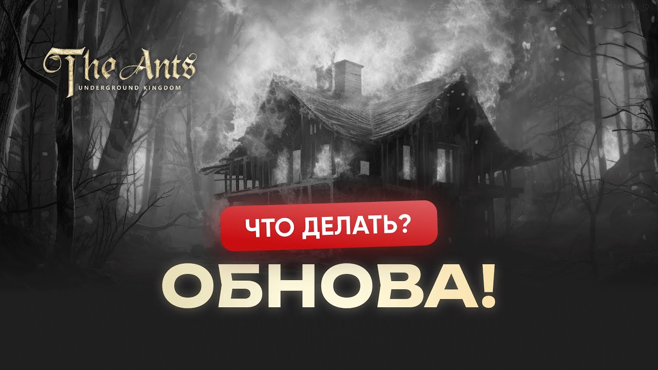 ОБНОВА! Уловки от The Ants: что теперь делать?