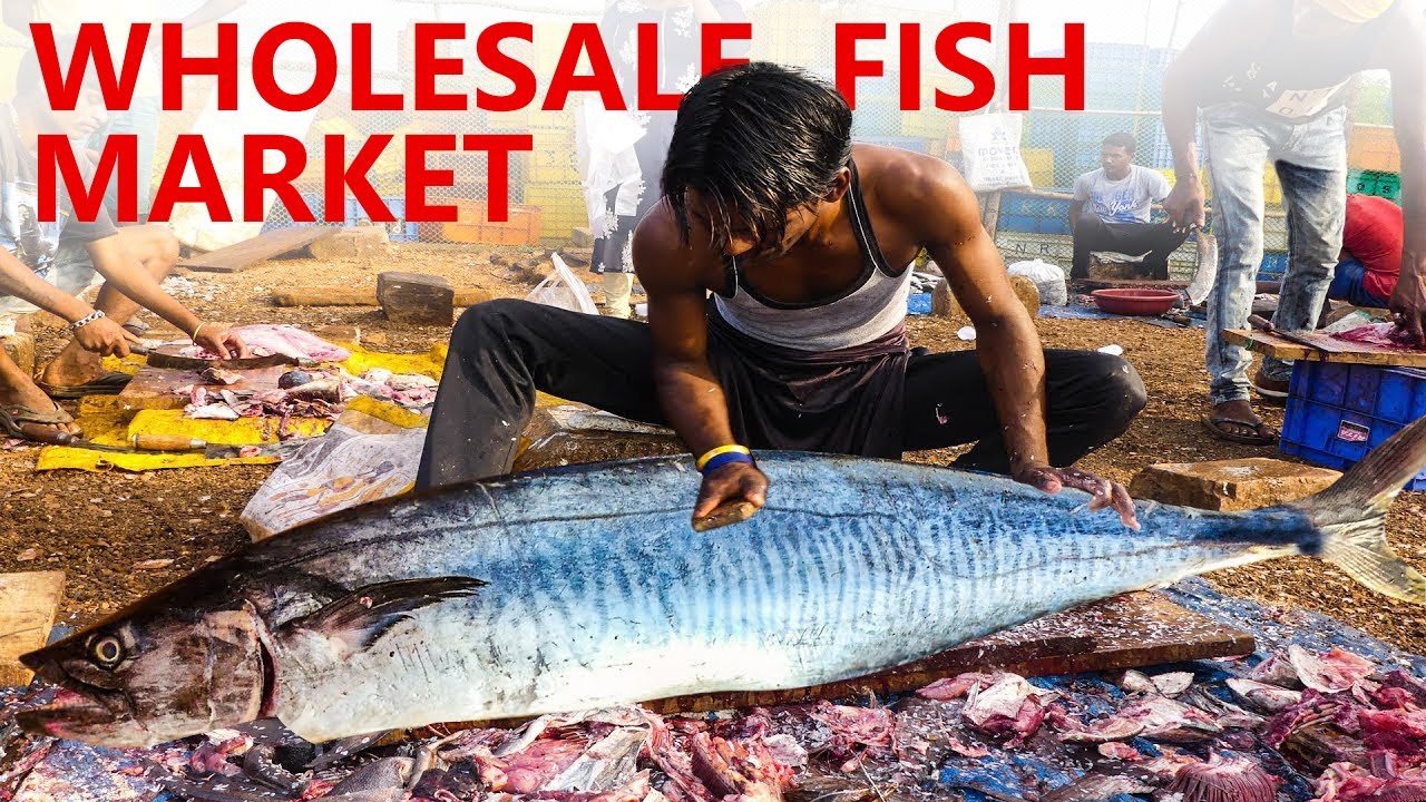 Versova Fish Market | (Mumbai) Versova Village Fish Market | 2020 Wholesale Fish Market
