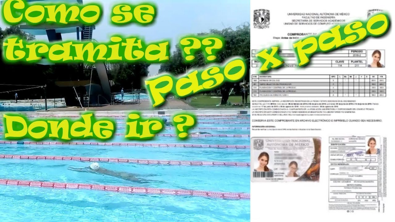 Como ingresar a la alberca UNAM requisitos | como tramitar la credencial de la alberca UNAM