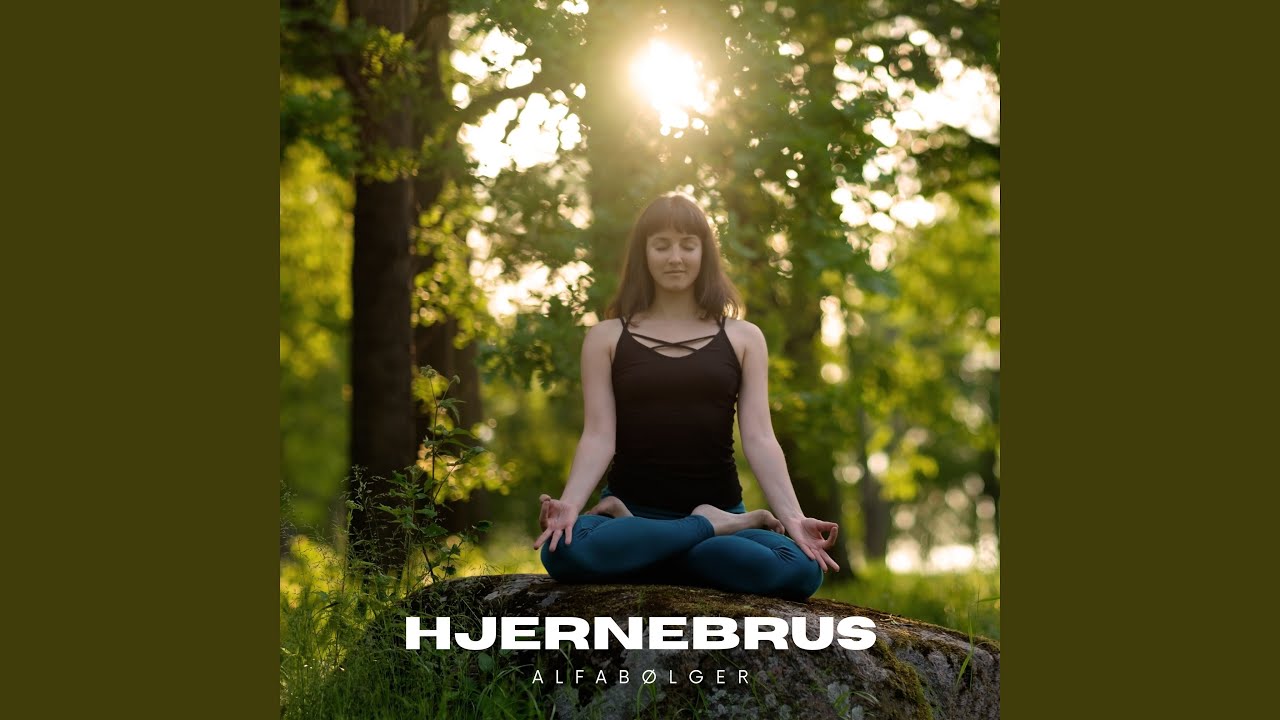 Ren Energi