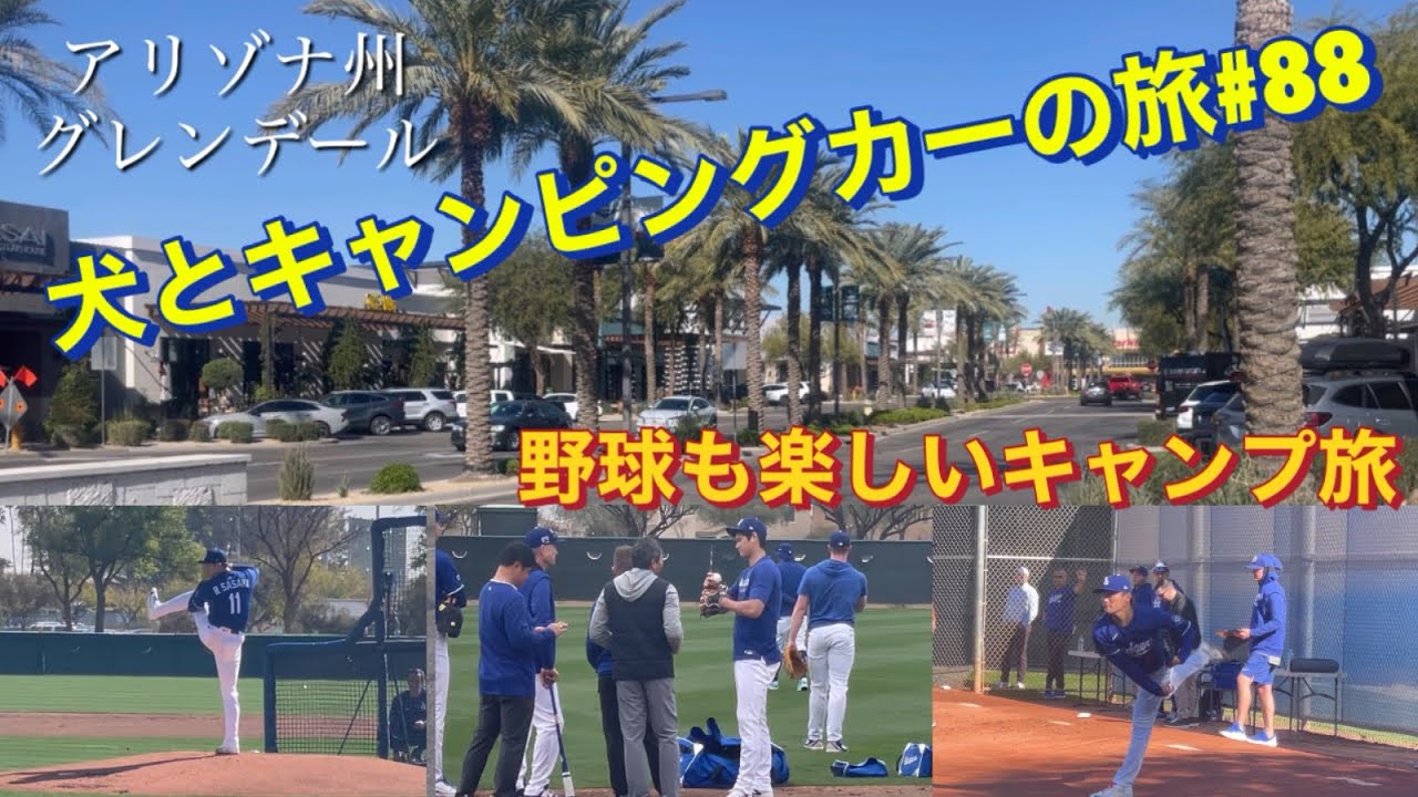 野球も楽しいキャンプ旅　犬とキャンピングカーの旅#88