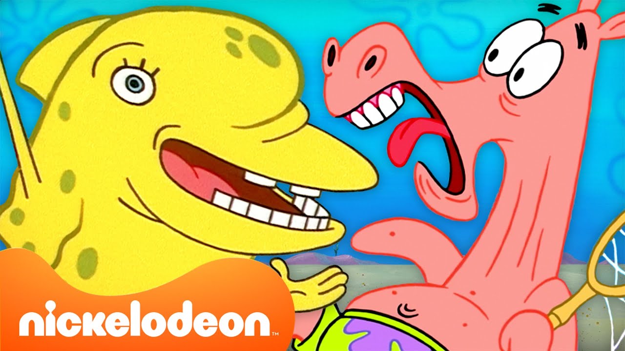 Bob l'éponge | Les personnages de Bob l'Éponge agissent en animaux pendant 80 minutes. | Nickelodeon