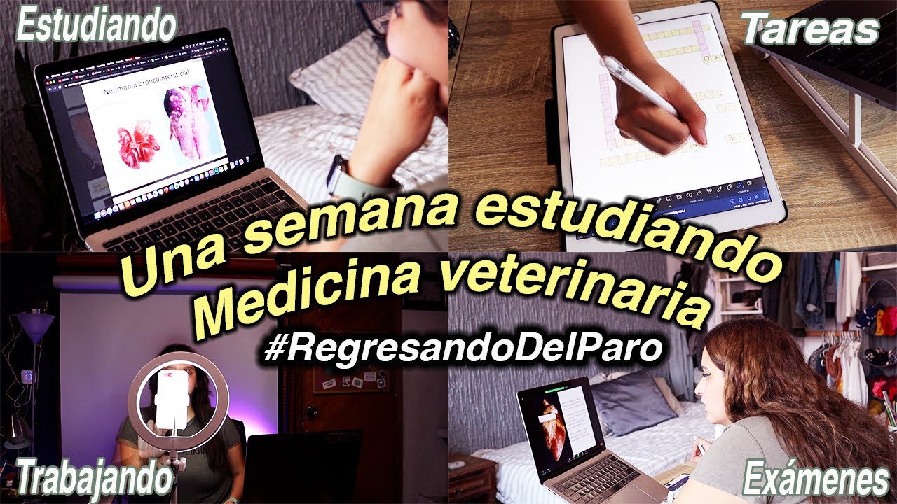 Una semana ESTUDIANDO MEDICINA VETERINARIA conmigo
