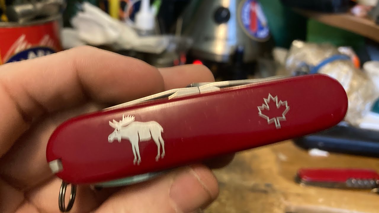 “The Moose” a Very Rare Model from Victorinox