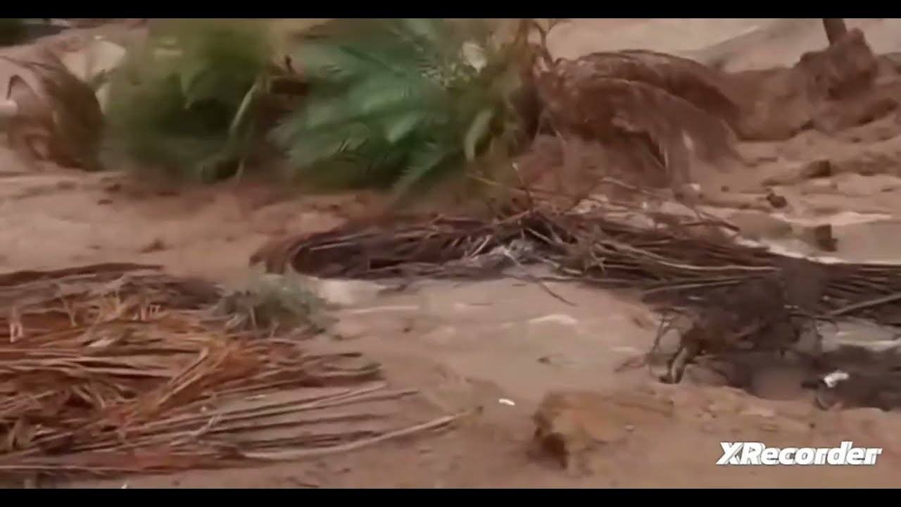  @abellah 2117شؤون محلية، واد صياد جماعة تغجيجت إقليم كلميم ...