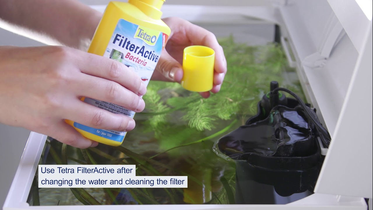 FilterActive Bacteria | Keeps filter biologically active and reduces sludge