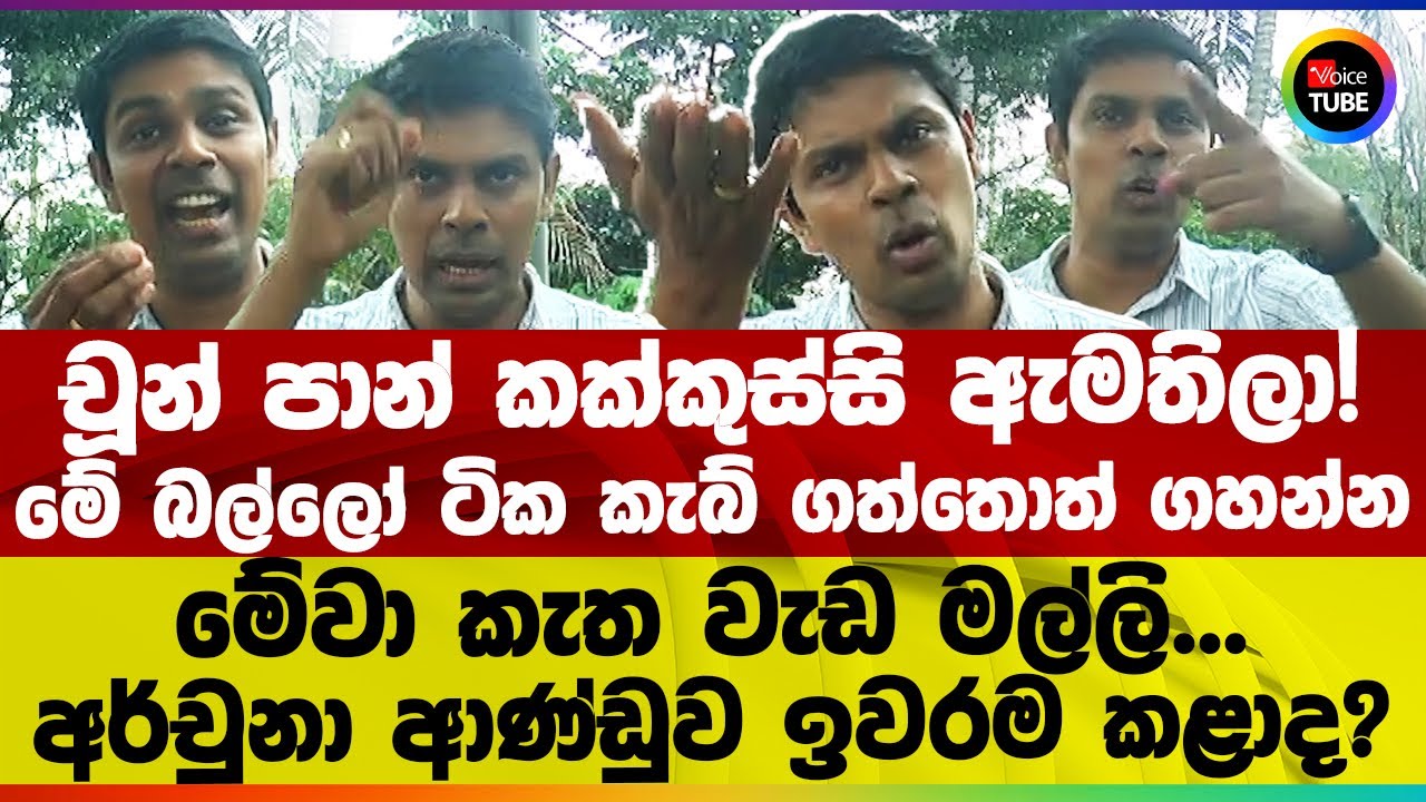 චූන් පාන් කක්කුස්සි ඇමතිලා! මේ බල්ලෝ ටික කැබ් ගත්තොත් ගහන්න | මල්ලි මේවා කැතවැඩ
