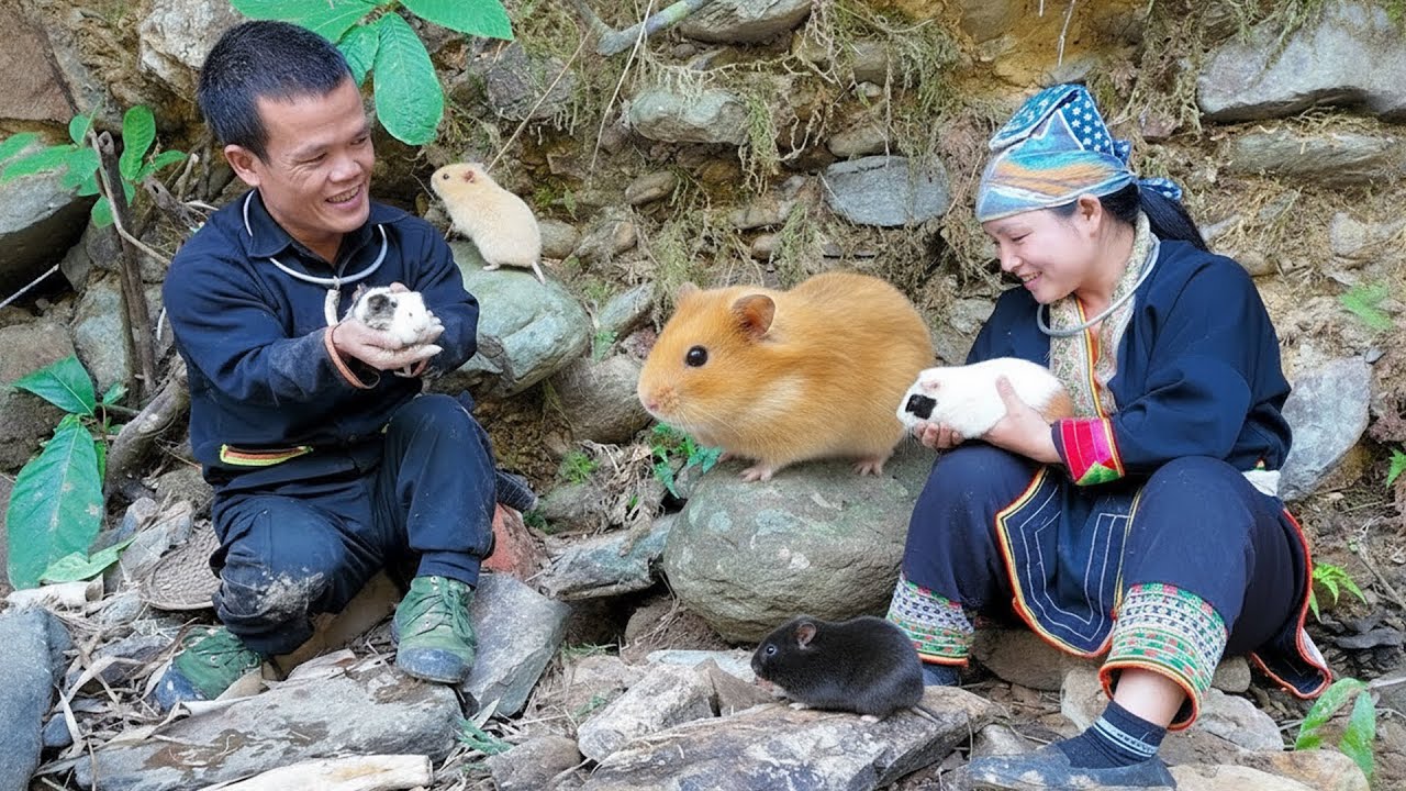 Unexpected Discovery in the Forest as the Dwarf Family Finds Wild Hamsters Living Underground