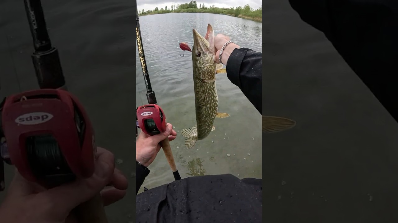 Megabass S crank 2.0 pike 2025  