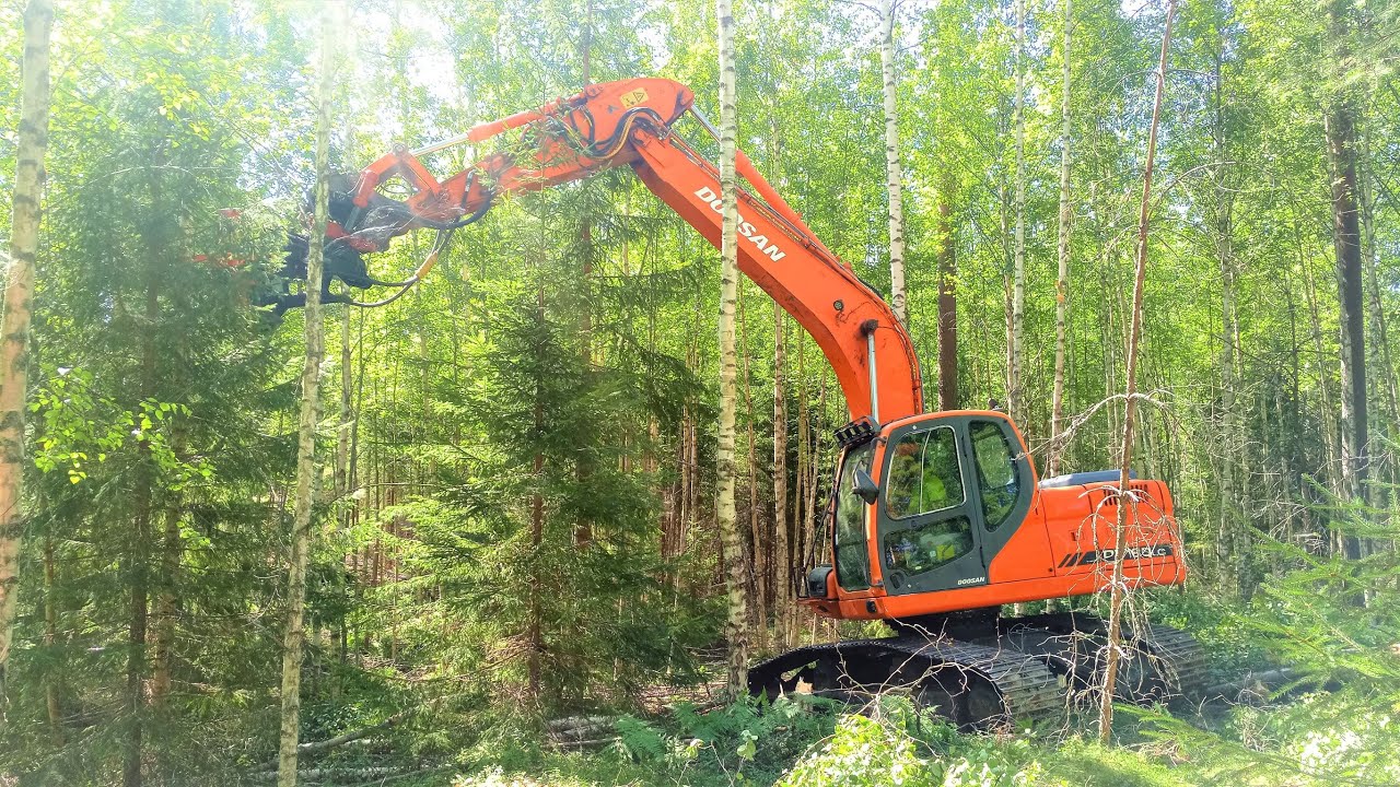 DOOSAN DX180LC ja KX350 energialeimikossa.🌳🌲🌳