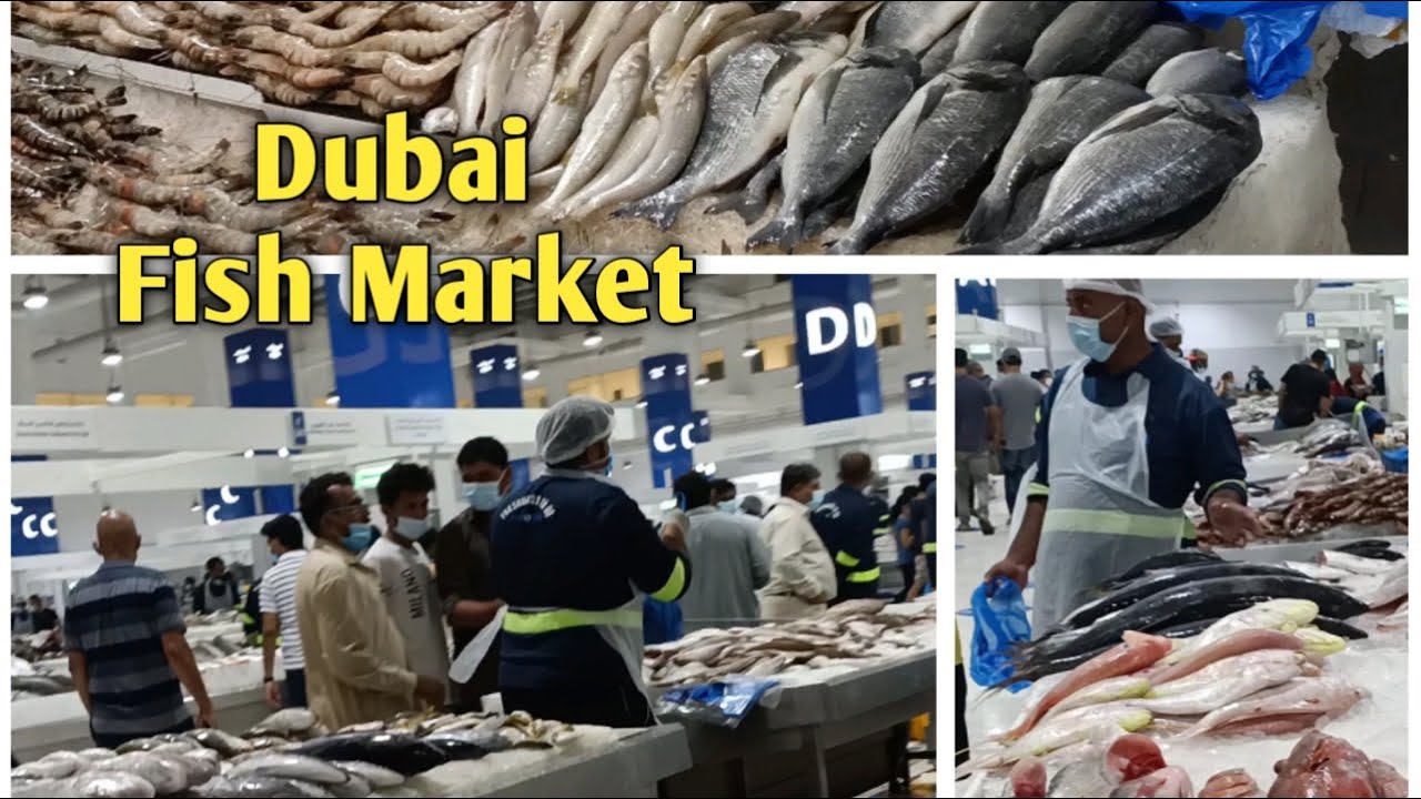 துபாய் மீன் மார்க்கெட்  |  Waterfront Market in Dubai | Deira Fish Market in Dubai | Tamil Vlog
