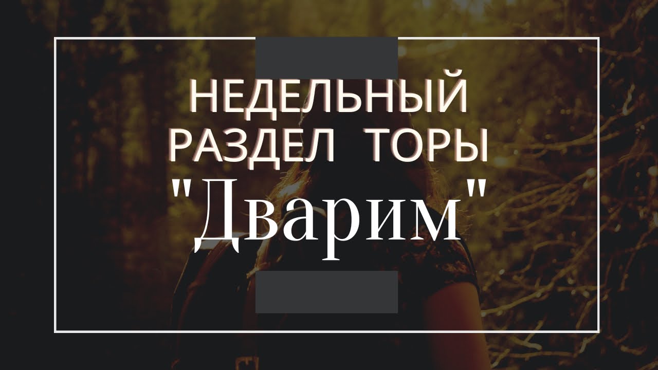 Недельный раздел Торы 