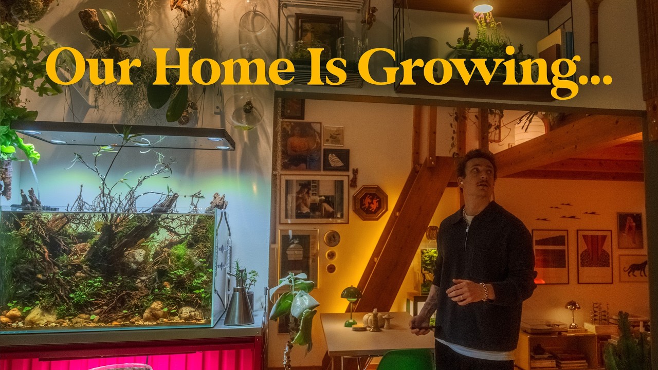 Cozy Home Update 🌿 | Plant Projects, Aquarium Care & Loft Vibes