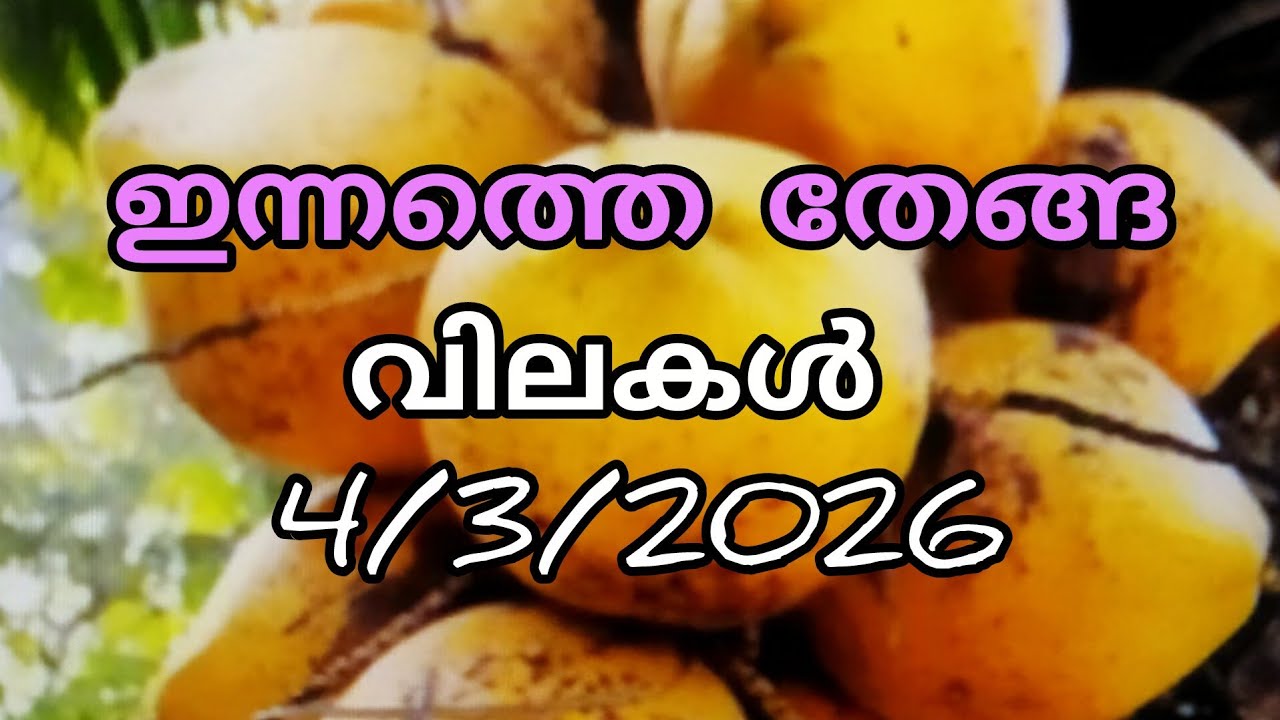 തേങ്ങാവില ഇന്ന് | 4/3/2026/ ബുധൻ | Sheeja Nediyakkal 