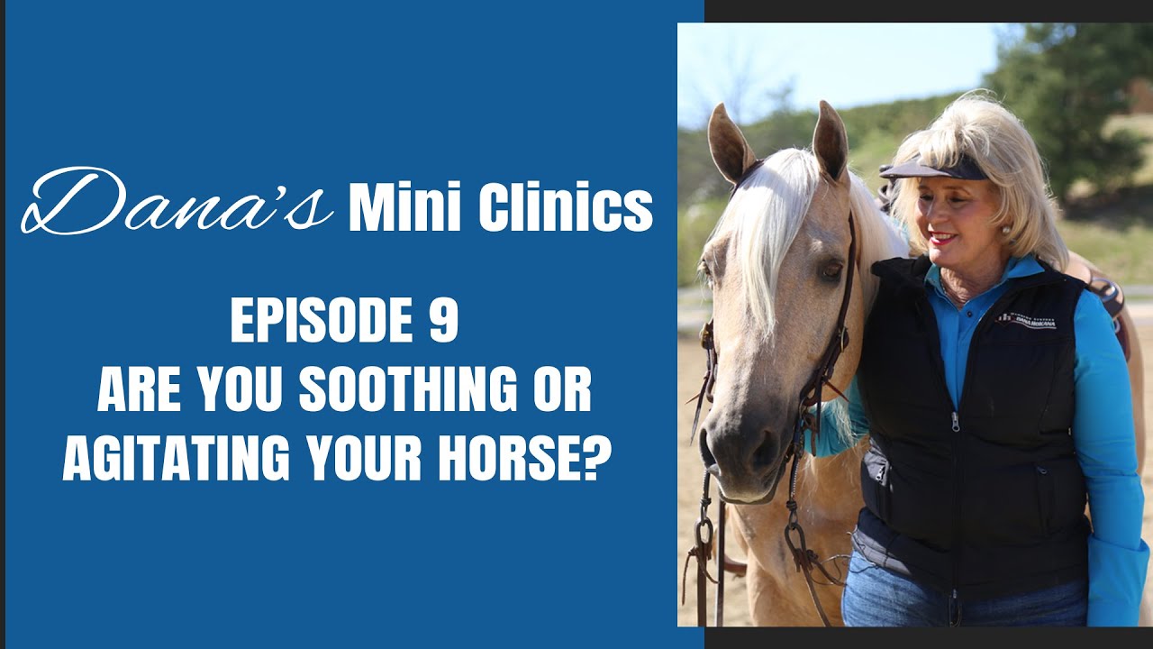 Dana's Mini Clinics | Episode 9 - Are You Soothing or Agitating Your Horse?