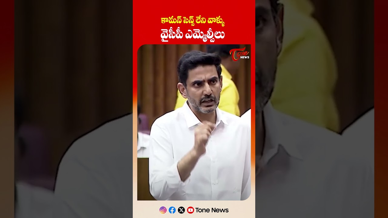 కామన్ సెన్స్ లేని వాళ్ళు వైసీపీ ఎమ్మెల్సీలు | Nara Lokesh Fires on YCP MLCs Over Tirumala Laddu Ghee