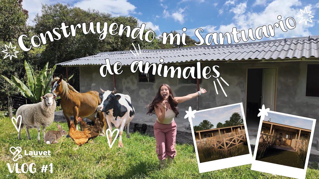 Transformando una casa vieja en un santuario para animales | Lauvet
