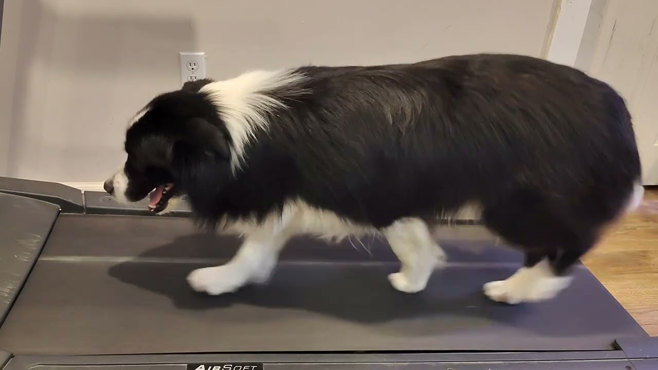 Clark on the Treadmill 