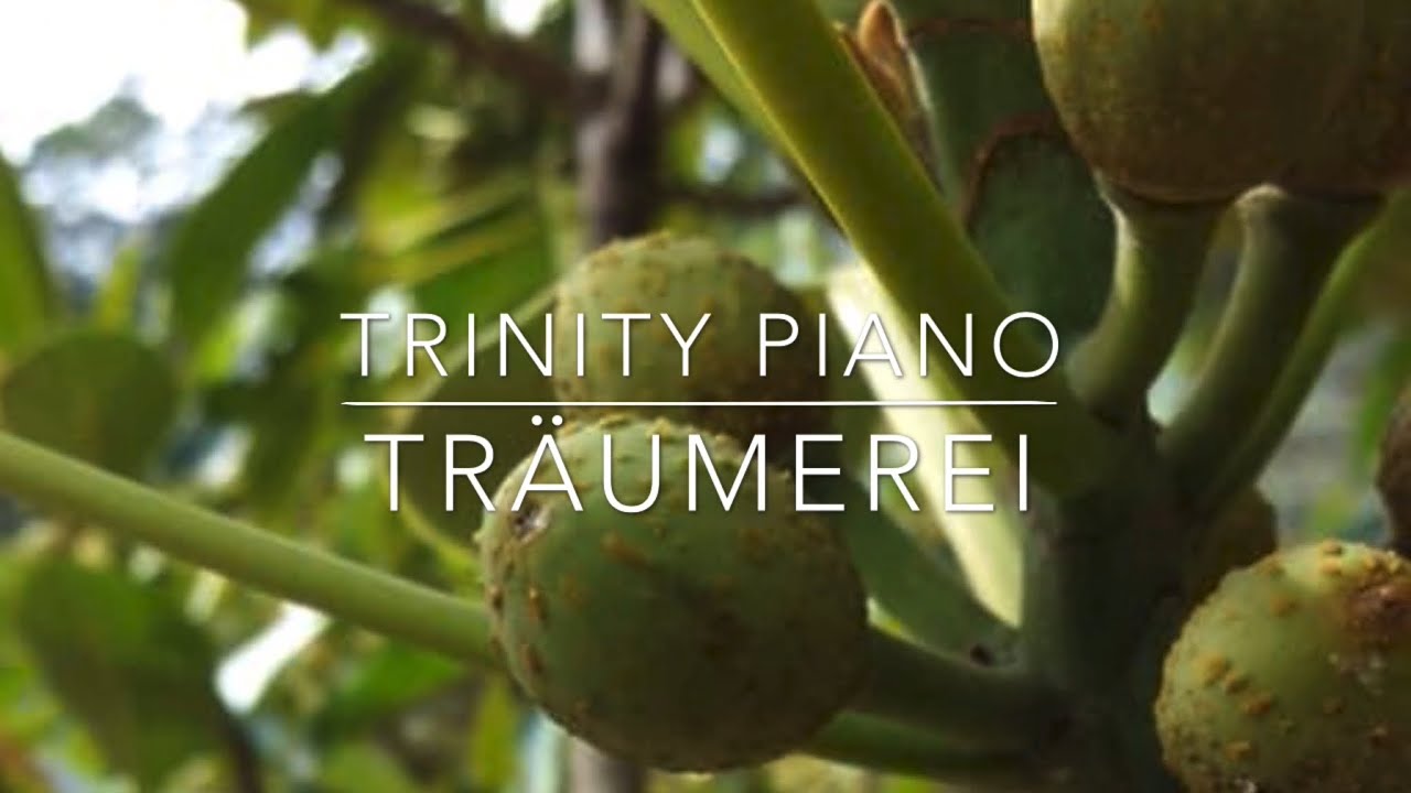 Sweet Reverie Träumerei, Pyotr Ilyich Tchaikovsky, Trinity Piano Grade 5, 2021-2023