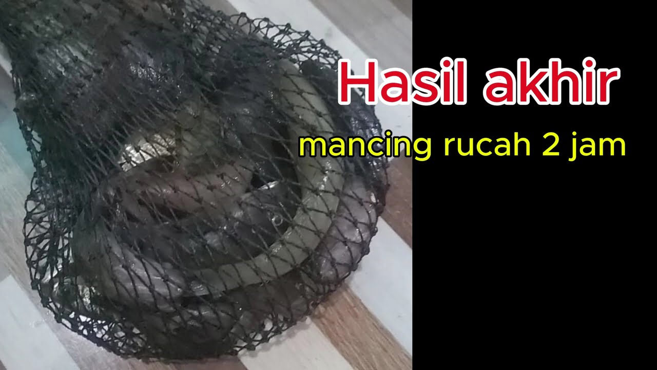 &ldquo;Mancing Ikan Rucah, Dikit-Dikit Strike! Bikin Ketagihan!&rdquo;
