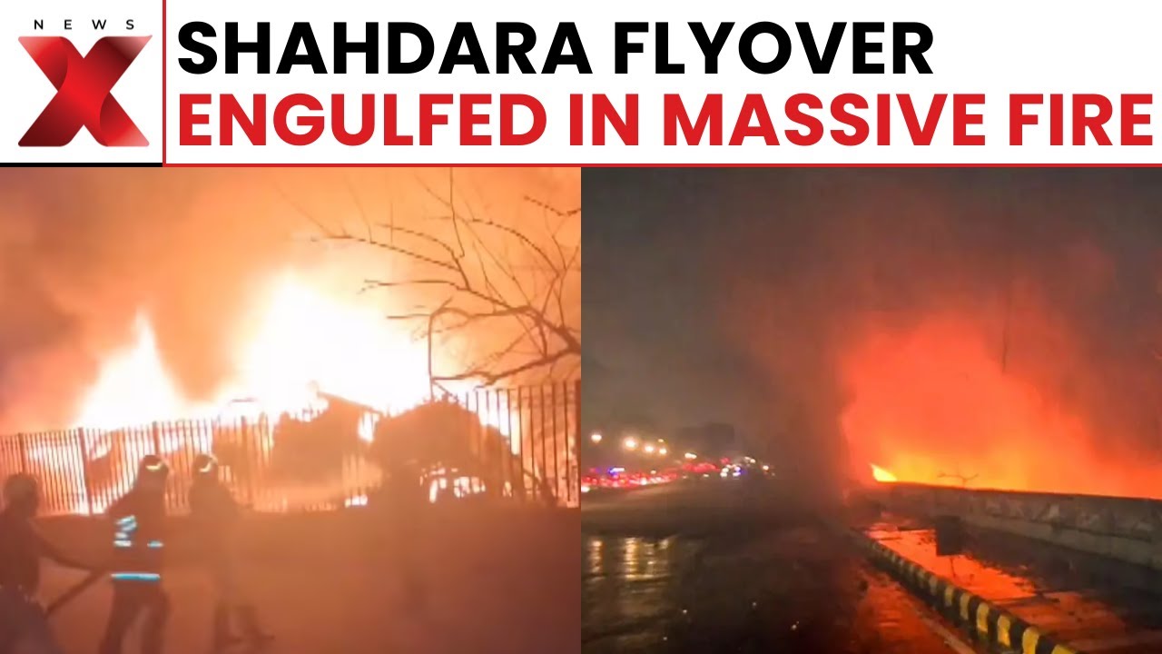 Shahdara Mansarovar Blaze Destroys Vehicles Under Flyover: Full Chaos Caught! | NewsX