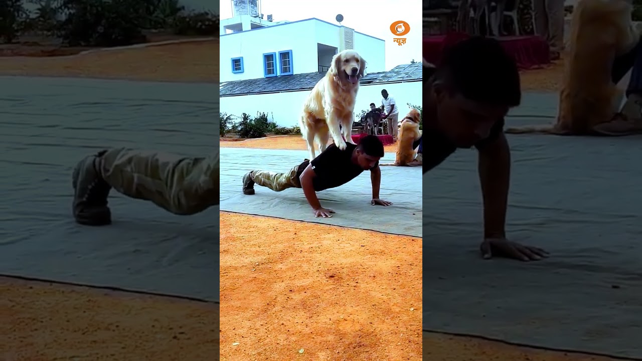 CISF K9 Units: Silent Guardians Strengthening National Security