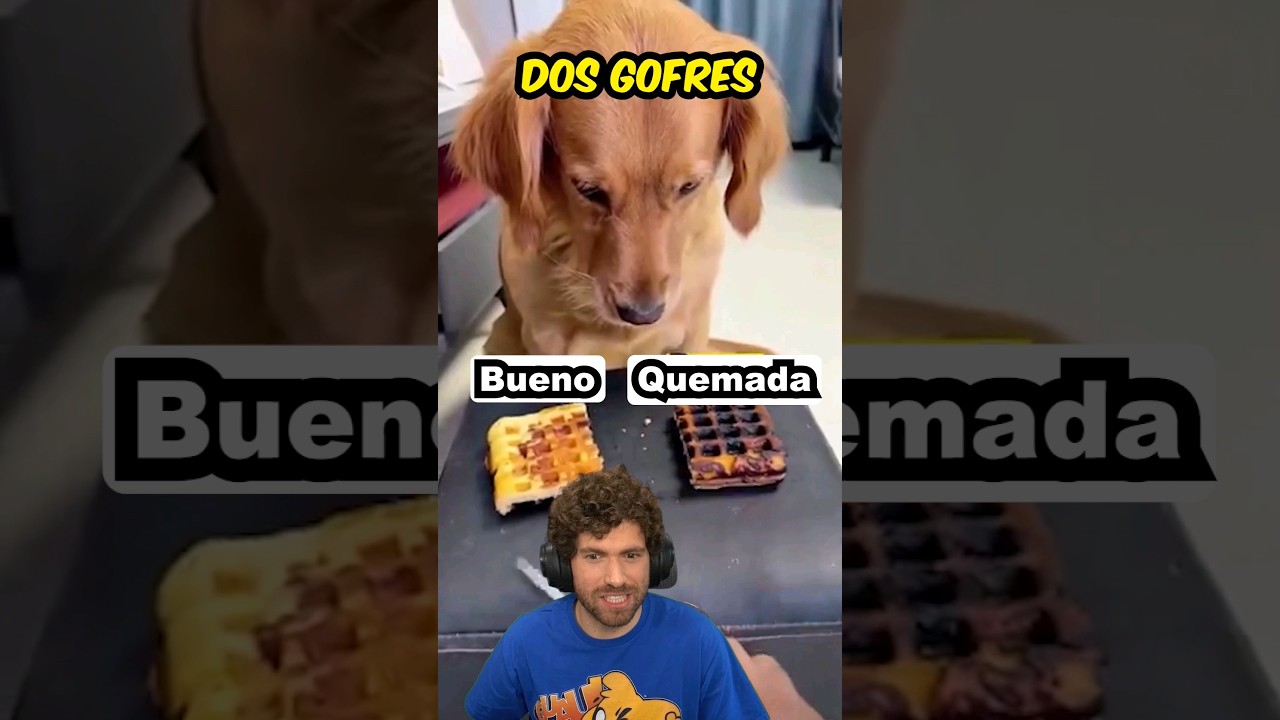 EL PERRO M&Aacute;S INTELIGENTE del MUNDO?? 🧠😂 #mikecrack