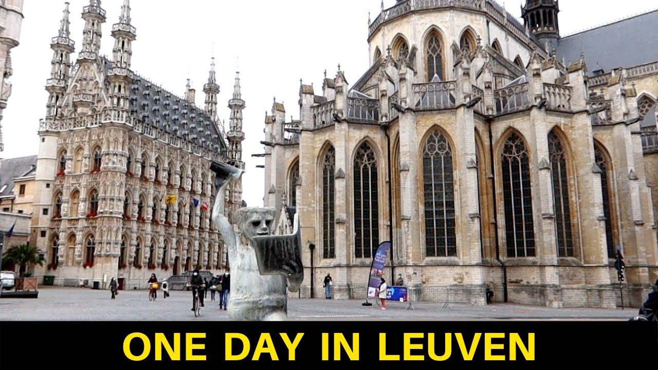 VLOG#1- PODR&Oacute;Ż DO BELGII- zwiedzamy klimatyczne miasto LEUVEN!!!