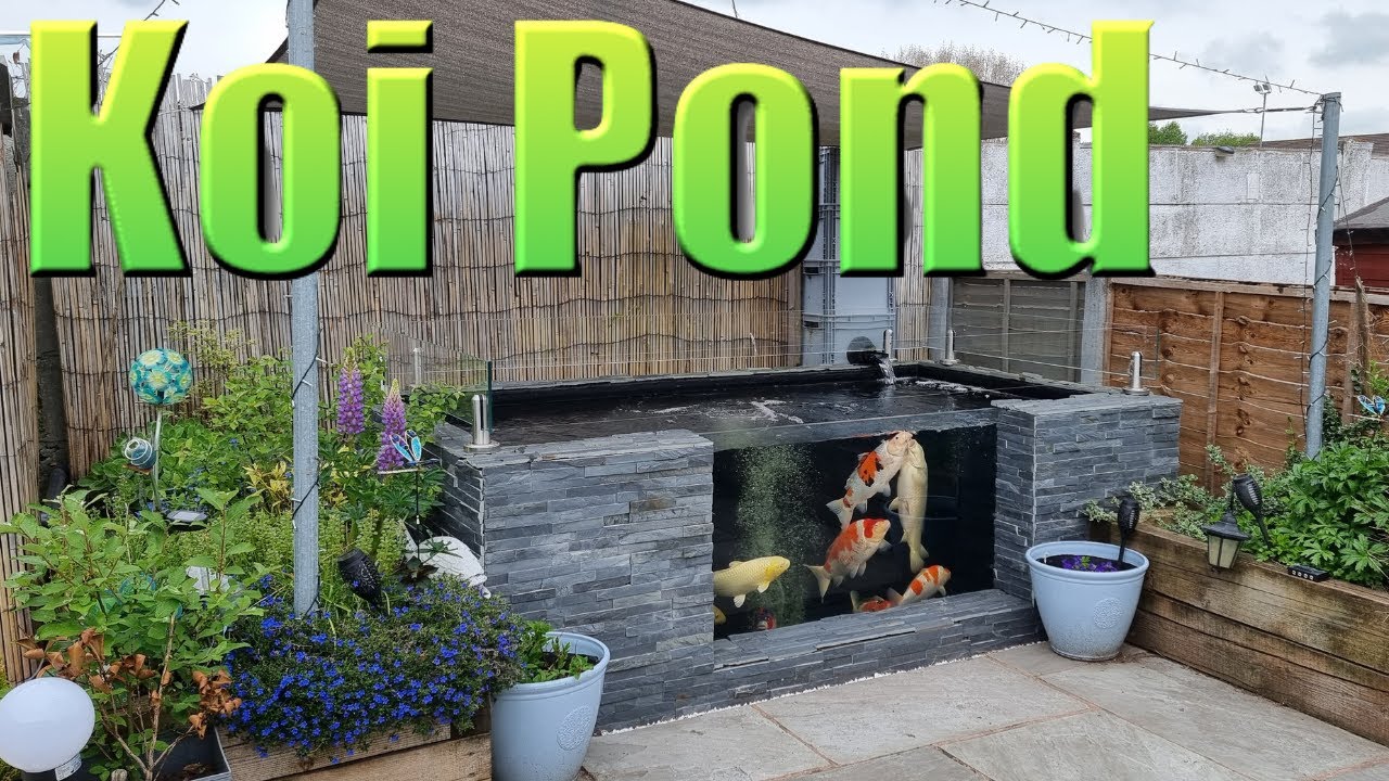 Koi Pond with Window & Filter System Build - Easy DIY (Eazy Pod, UV, Bakki Shower & EA Tempest)