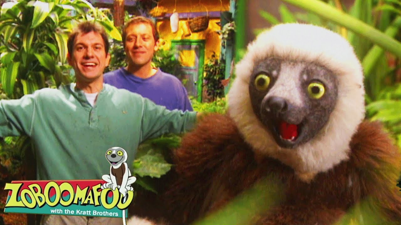 Criaturas Verdes | Zoboomafoo Português - WildBrain | Episódios Completos para Crianças