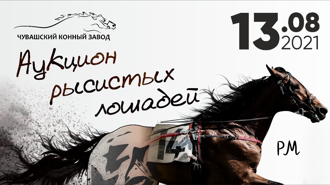 Аукцион Рысистых Лошадей в Чувашском Конном Заводе (13.08.2021)