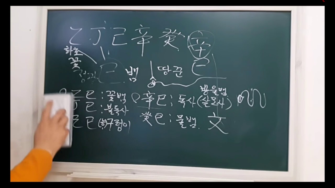 신사일주 일주론 - 피클의 행복한 명리