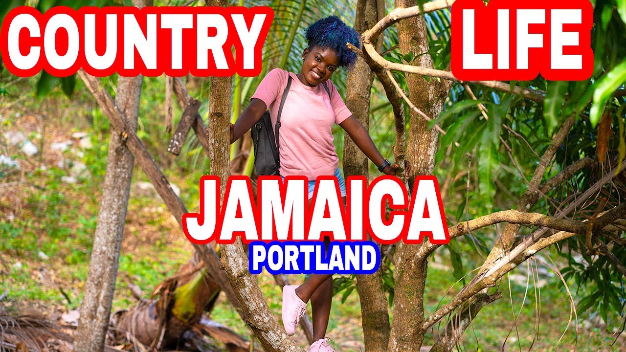 LIFE IN PORTLAND JAMAICA - PART 1