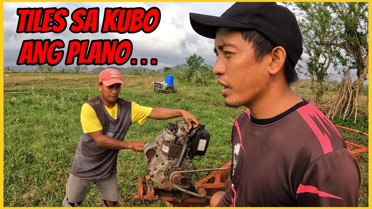 GIANT KAWAYAN SA BUKID