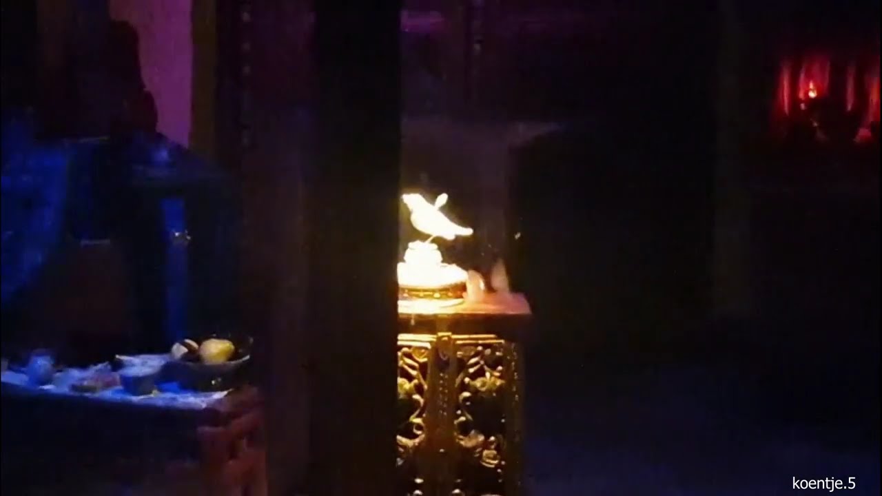 de chineese nachtegaal(volledige beleving)