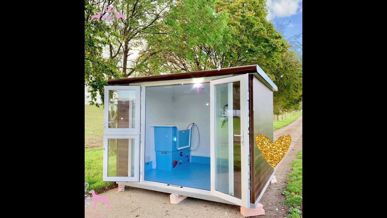 Wet Pets Pods 2021 FULL HD