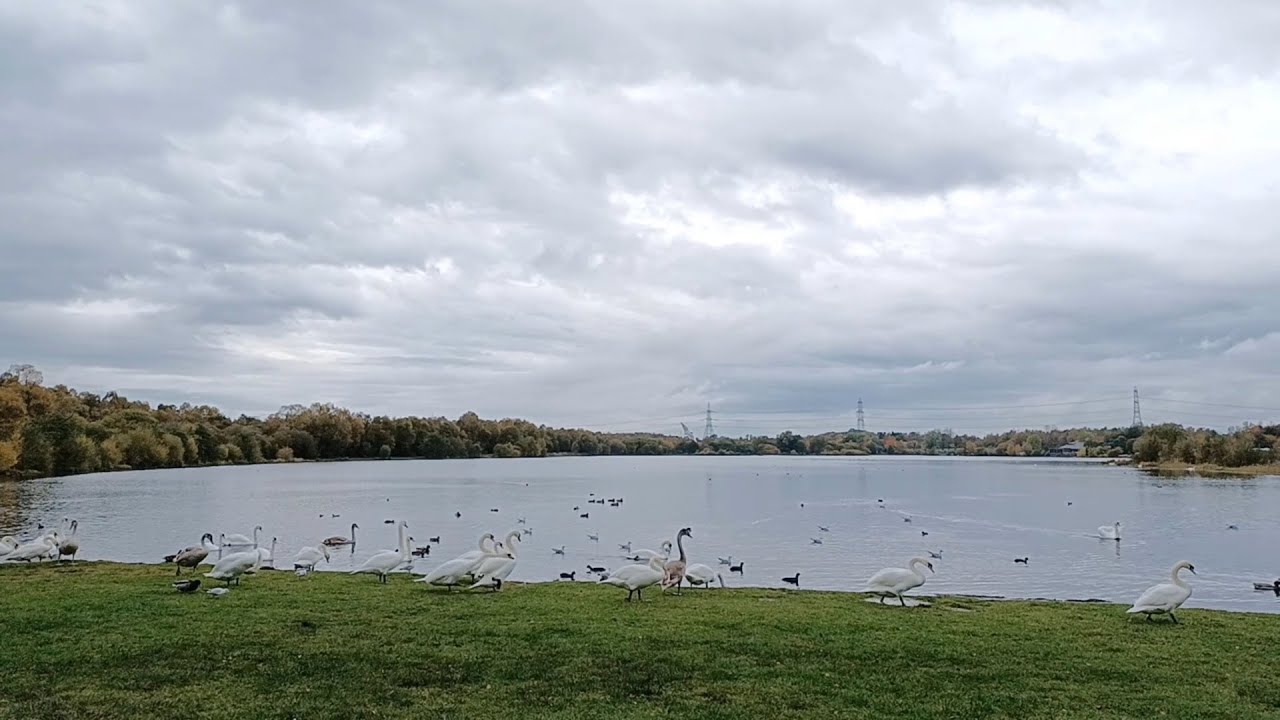 Drumpellier Country Park, North Lanarkshire - Scotland - October 2022