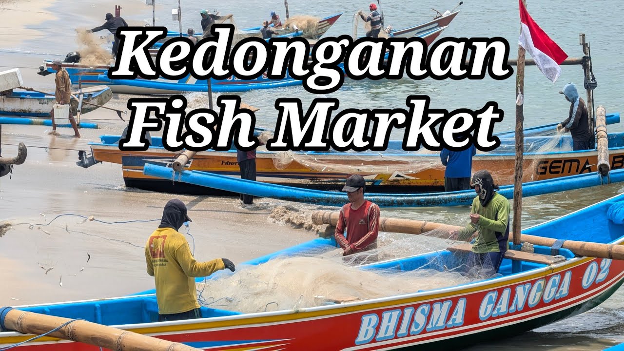 Kedonganan Fish Market Bali &ndash; Fresh Seafood & Local Experience!