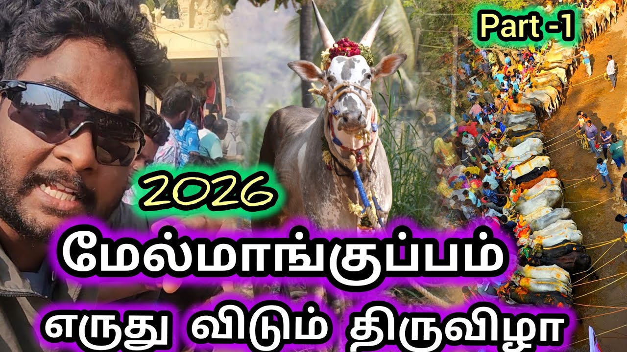 மேல்மாங்குப்பம் எருது விடும் திருவிழா 2026 melmankuppam eruthukattu part -1 
