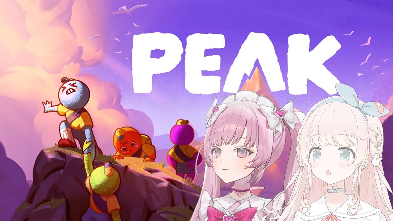 【PEAK】ふたりで頂上の景色を見に行く🏔【登山】