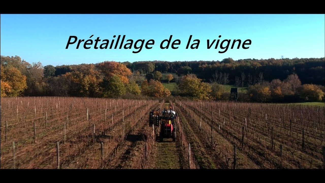 [GoPro-DJI] Pré-taille de la vigne avec une prétailleuse Grégoire / 2018