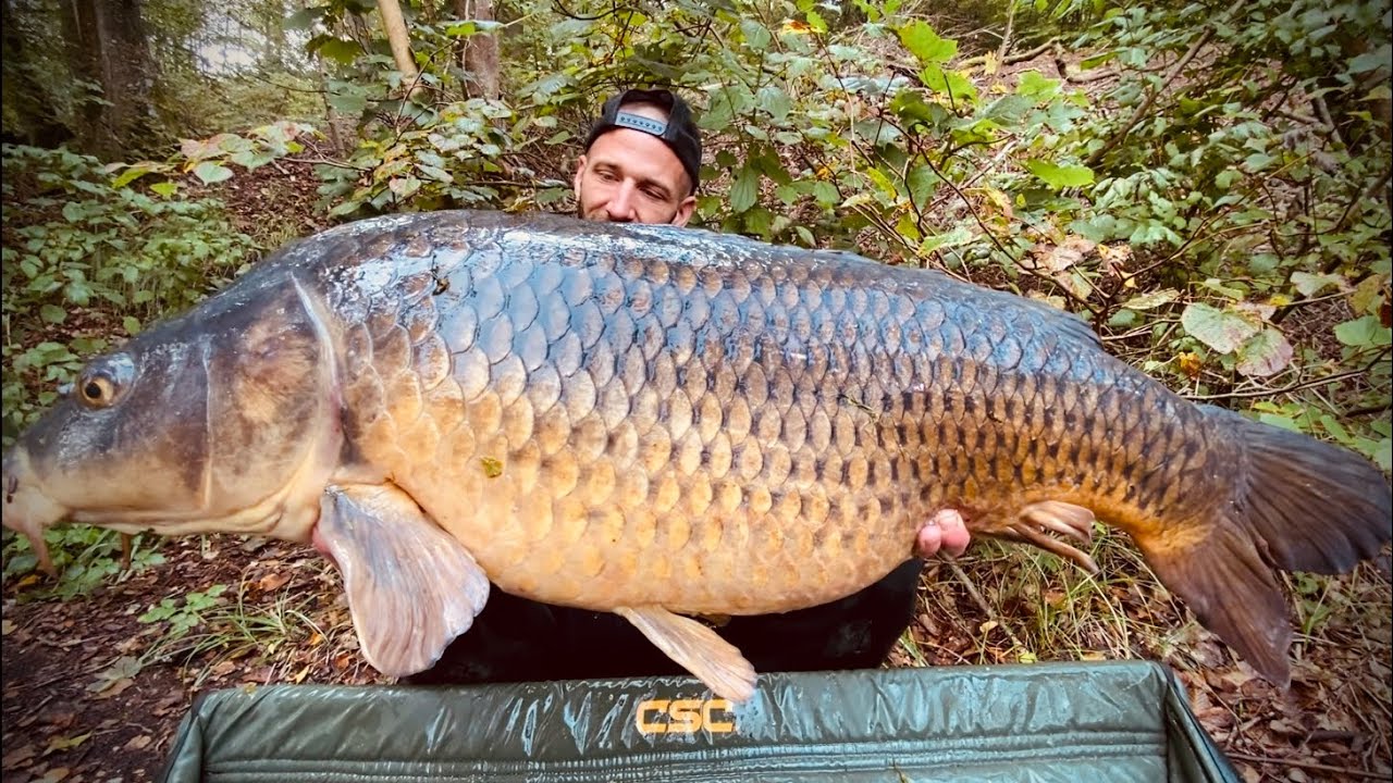 Nouveau record carpe commune 23+ !!