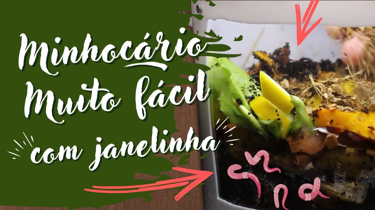 MINHOCARIO DIDÁTICO (vermicompostagem com janelinha)